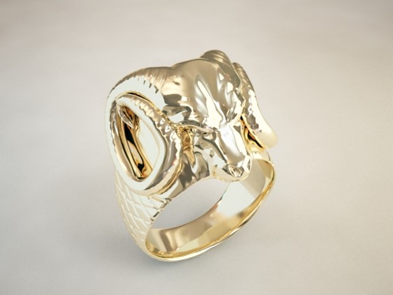 Recent Works: RAM RING and Hoop 