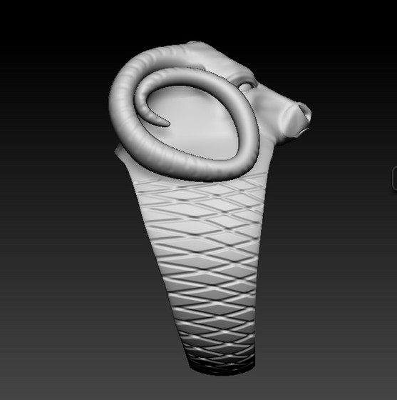 Recent Works: RAM RING and Hoop 
