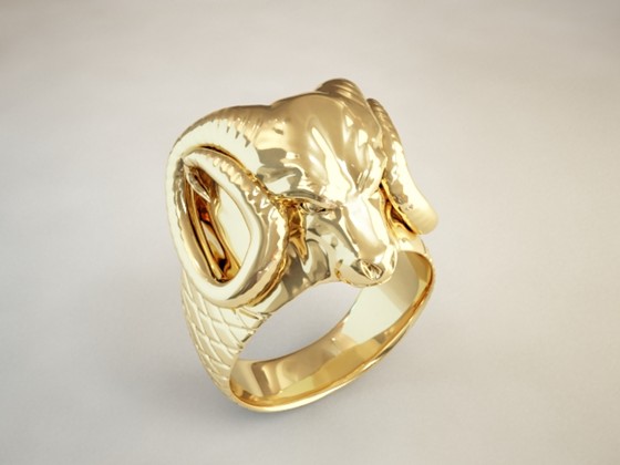 Recent Works: RAM RING and Hoop 