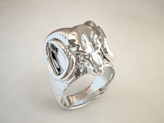 Recent Works: RAM RING and Hoop 