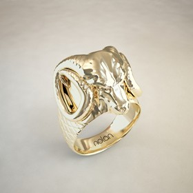 Recent Works: RAM RING and Hoop 